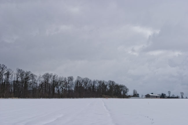 Champ enneigé, Guyancourt - Snowy field, Guyancourt
